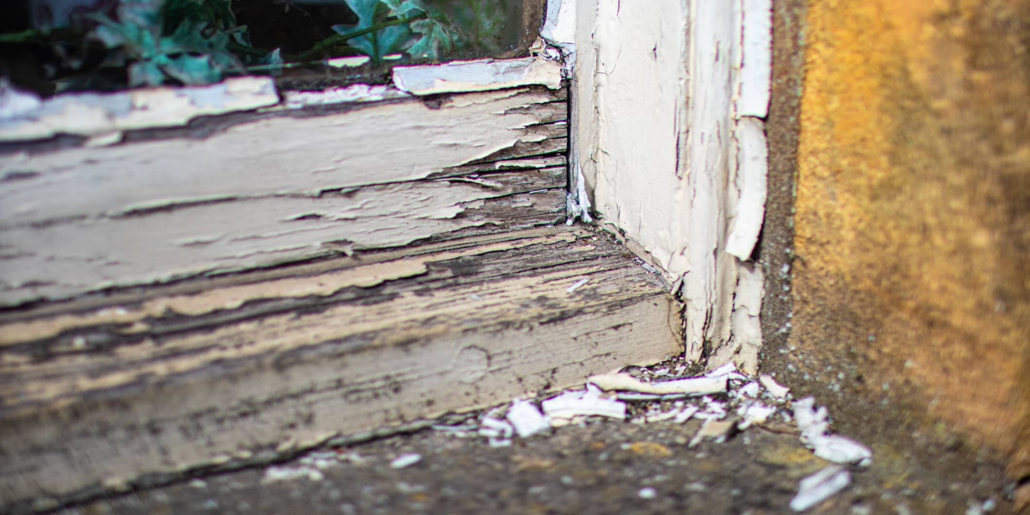 Rotte kozijnen rotte-kozijnen